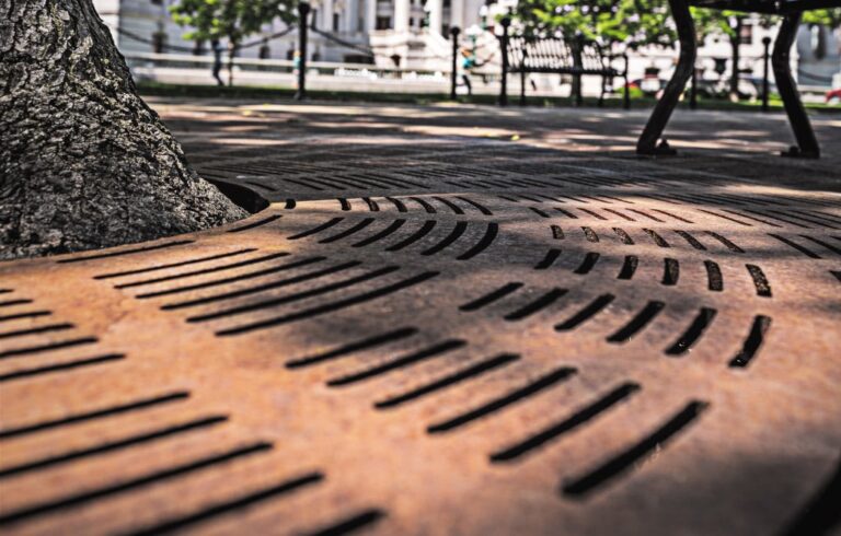 Close up of cast iron tree grate in city park
